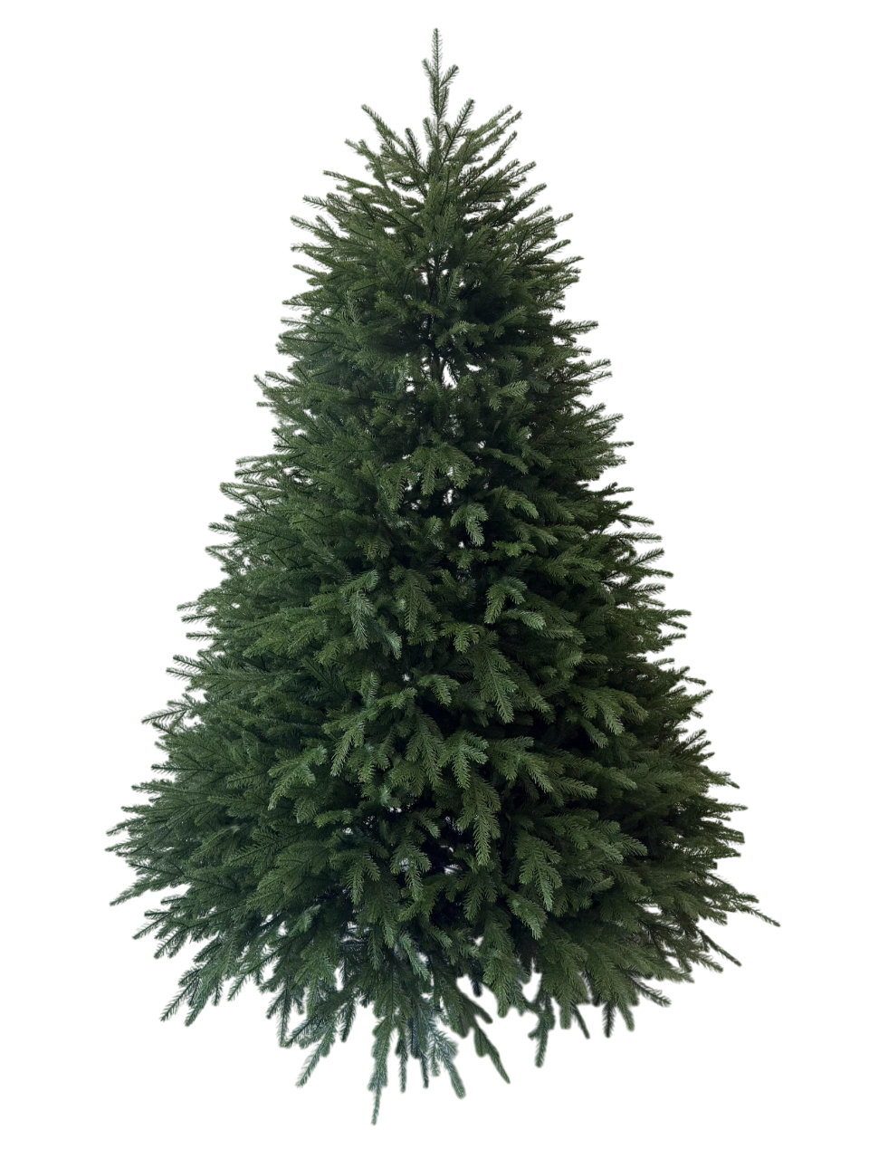 240სმ მწვანე ნაძვის ხე სრულად სილიკონის ტოტებით